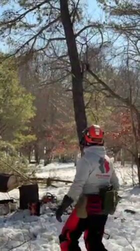 Team Rubicon volunteer removes tree in snowy Shoreham forest