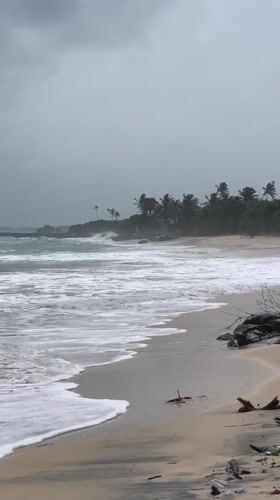 Morning scenes captured in coastal Kathaluwa, Sri Lanka