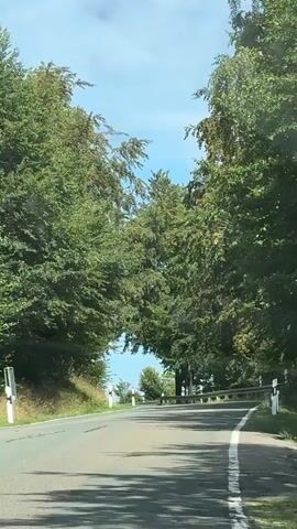 A car is driving on a paved road surrounded by trees. The road has white lane markings and guardrails on the right side. There are white posts with black reflectors along the side of the road. The sky is blue and clear. The trees are green and leafy, forming an arch over the road.