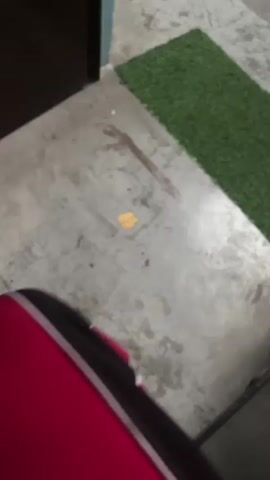 The video shows a close-up of a floor with several distinct features. A patch of artificial grass, approximately one foot wide and two feet long, is visible in the upper right corner. The floor itself appears to be concrete, showing some staining and scuff marks. Prominently featured in the center of the frame is a single, golden-brown cracker, broken into two interlocking pieces, lying flat on the concrete. There are also several small, dark red stains scattered on the floor around the cracker, with one larger, streak-like stain extending from the upper left towards the cracker. The lighting is moderate, creating some shadows and highlighting the textures of the floor and the cracker.