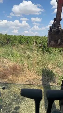 The video is a first-person perspective from inside an excavator cab. The excavator's bucket is visible in the upper right of the frame, filled with dirt and extended forward. The operator's controls, two black levers, are in the foreground. The environment outside the cab is a field with tall green and brown grass, with rows of green plants in the background. The sky is blue with scattered white clouds. The excavator appears to be in the process of digging or moving dirt.