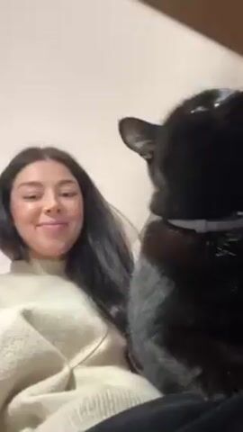 A woman with long dark hair and a light-colored sweater holds a black cat in her lap. The cat wears a light-colored collar. The woman smiles at the camera. The cat nuzzles against her face. The woman laughs. The background is out of focus.