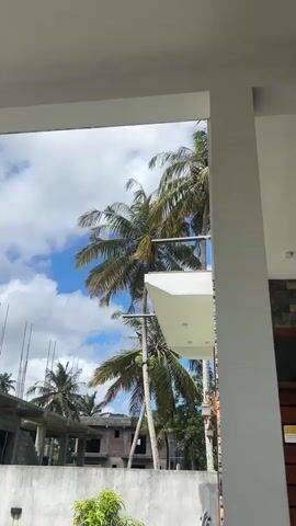 The video shows a view through an opening of palm trees swaying in the wind against a bright blue sky with scattered white clouds. In the foreground, part of a white building structure is visible. To the left, a construction site with unfinished brick buildings and rebar sticking out of concrete columns is partially visible. To the right, a section of a modern building with a balcony or overhang is seen. The overall impression is a tropical or sub-tropical environment on a sunny, breezy day.