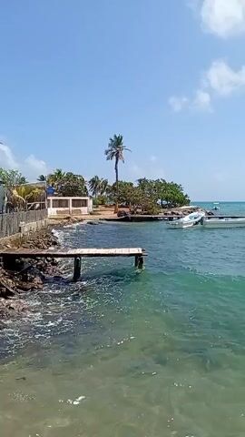 The video showcases a tropical coastal scene with clear turquoise water under a partly cloudy sky. The view shifts from a weathered wooden dock with small waves lapping at the rocky shoreline, to a broader view of the water where several small boats with blue canopies bob gently. The video concludes with a close-up of waves crashing against the rocky shore, creating white foam. The environment suggests a tranquil and possibly tourist-oriented area with calm seas and natural beauty.