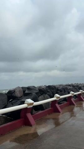 The camera films from behind a red and white guardrail on a wet concrete walkway, facing a line of large, dark, possibly basalt rocks that create a wave break. On the other side of the rocks, waves crash in, though they are muted by the distance. Several dark birds fly above the waves in an overcast, gray sky.
