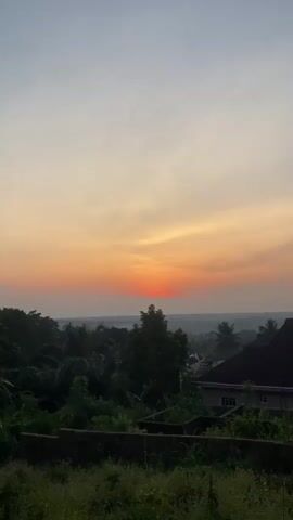 The video shows a time-lapse of a sunset over a tropical landscape. The sun, a bright orange orb, gradually descends behind a low-lying cloud bank, casting a warm glow across the sky. The foreground is dominated by lush green trees, some with broad leaves and others with slender trunks, while a distant structure with a dark roof can be seen on the right. The sky transitions from a soft yellow-orange at the top to a vibrant red-orange where the sun is setting, with streaks of light clouds visible. The horizon is hazy, and as the sun sets, the landscape darkens, with shadows deepening among the trees.