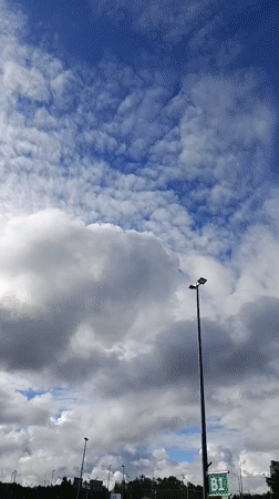 Moscow morning scenes captured across parking, flowers, mall, sky