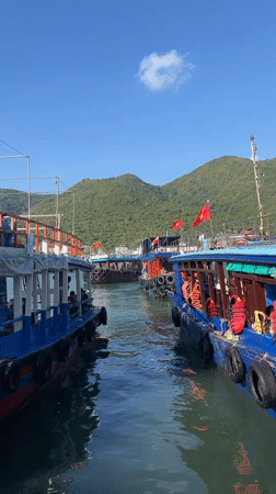 Boats with passengers dock at Vietnam coastal waterway