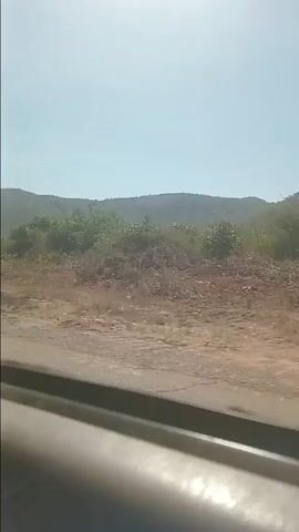 The camera is looking out of the side window of a moving car. The car is traveling on a paved road beside a stretch of dry, overgrown land. In the distance, a low mountain range is visible under a clear blue sky. The sun is bright, and some lens flare is visible. The scenery is mostly dry vegetation.