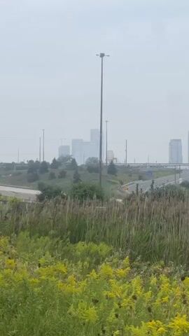 A tall light pole stands in the center of the frame. In the background, a city skyline with several tall buildings is visible through a hazy sky. A highway curves through the middle ground, with a few cars and a bus visible. The foreground is filled with tall grass and yellow flowers.