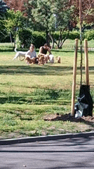 People play with puppies in sunny Plovdiv park