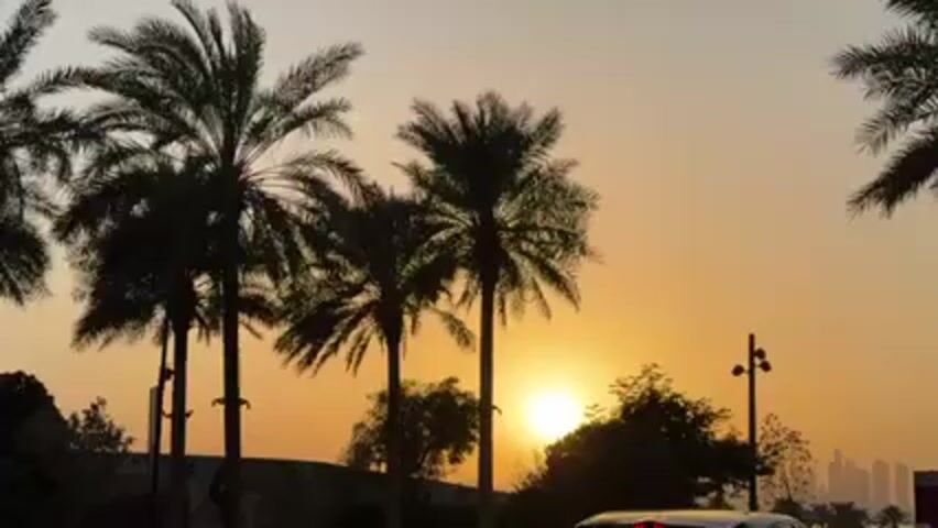The video shows a sunset in a tropical area, with palm trees silhouetted against the orange sky. There are other trees and a light post visible as well. A car drives by in the foreground. In the distance, the faint outline of buildings can be seen.