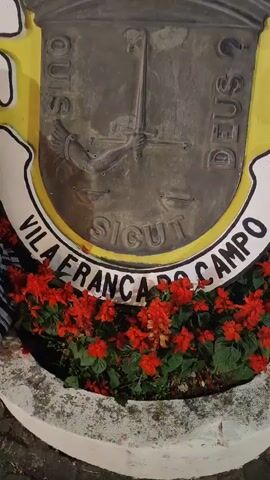 This media file captures a nighttime scene in Vila Franca do Campo, Portugal. The foreground features a decorative emblem or crest, possibly a town coat of arms, surrounded by vibrant red flowers. The crest appears to be made of metal and bears an inscription. Part of the text visible reads "VILA FRANCA DO CAMPO" and "DEUS P".

In the background, a crowd of people is gathered in a public square or street. They are casually dressed, suggesting an outdoor event or festival. Some individuals are standing, while others are seated on steps leading up to a prominent building, which resembles a church or historical structure with ornate architecture and decorative lights. String lights and other festive decorations are visible along the street, further indicating a celebratory atmosphere.

The overall impression is one of a lively evening gathering in a Portuguese town. The time of day is clearly night, illuminated by artificial lights. The emotions conveyed are generally positive and social, with people appearing to be enjoying themselves and interacting in a communal setting. The presence of the town's name on the crest confirms the location.