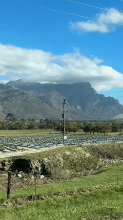 Agricultural landscape documented in Stellenbosch, South Africa