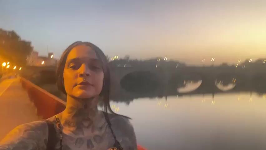 This is a selfie video taken at dusk in Logroño, Spain. The camera is held by a person with extensive tattoos visible on their neck and arms, wearing a floral patterned top. They are standing on a walkway with a railing, likely a bridge or a riverside promenade, overlooking a calm body of water. In the background, a stone bridge with multiple arches spans the water. Streetlights are visible along the walkway and on the distant shore, casting an orange glow. The sky is a soft gradient of blue and orange, indicating the transition from daylight to evening. The overall mood is serene and contemplative. No text is visible in the video.