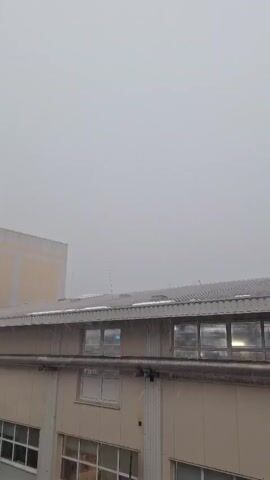 This is a video taken from an elevated perspective, looking out at a building with a corrugated metal roof. Snow is falling, creating a hazy, overcast atmosphere. The building appears to be industrial or commercial, with multiple windows visible, some reflecting the grey sky. A lighter colored building is partially visible on the left. The overall impression is of a cold, wintry day in Wittenburg, Germany, with the falling snow suggesting a quiet and perhaps somber mood. There is no visible text in the video.