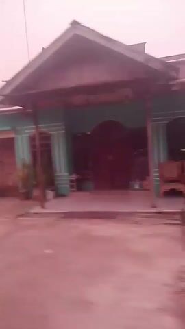 The video shows a blurred, reddish-tinted scene, likely filmed from a moving vehicle. The first frame captures a teal-colored house with a wooden garage door and decorative trim. The second frame shows a palm tree and dense vegetation in the foreground, with a portion of the teal house visible in the background. The third frame focuses on a single-story house with a covered porch, where a person is sweeping. The fourth frame offers a side view of the same house, with overgrown plants and debris on the ground. The final frame displays a long, light-blue building with a large open entrance, possibly a workshop or warehouse, and a portion of a fence on the right side. The overall impression is of a residential or semi-industrial area, possibly in a warm climate, given the vegetation.