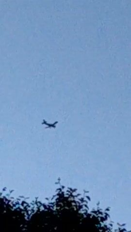 The video shows a clear blue sky with a silhouetted airplane in the distance. The airplane is flying at a high altitude, and its shape suggests it is a passenger jet. The lower portion of the frame is partially obscured by dark foliage, likely trees, indicating that the video was taken from the ground. The overall lighting suggests it is daytime, possibly late afternoon or early morning due to the softness of the light. The image is somewhat grainy, suggesting it was captured by a mobile device or a camera with limited zoom capabilities. There are no people visible in the video, and the focus is solely on the airplane in the sky.