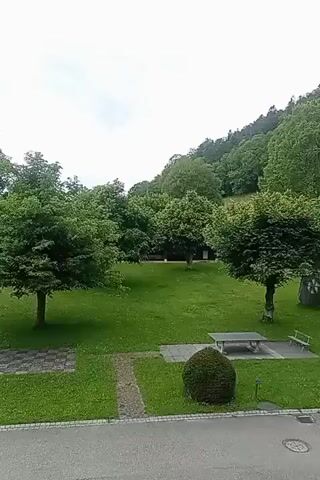 The video shows a park-like area with lush green grass and several trees. In the foreground, there is a paved area with a picnic table and benches. A circular, well-trimmed bush is also present. The background features a densely wooded hillside under an overcast sky. The camera appears to be stationary, offering a wide view of the outdoor scene.