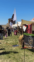 Falconry demonstration draws crowds in Smederevo, Serbia