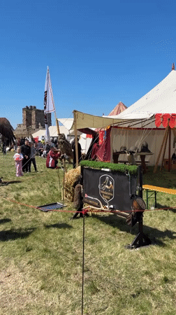 Falconry demonstration draws crowds in Smederevo, Serbia