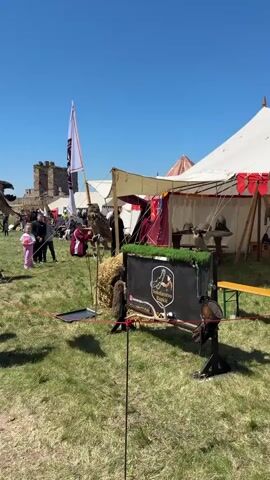 The video shows a falconry demonstration in an outdoor setting with a crowd of people.  A large owl is perched on a stand next to a sign that reads "Sokolarstvo Rapkić". A white flag with a maroon design is flying nearby. Several tents are visible in the background, along with a stone building that appears to be a castle. A man dressed in a traditional white embroidered shirt is standing near the owl. Several people are looking at the display. The day is sunny with a clear blue sky.