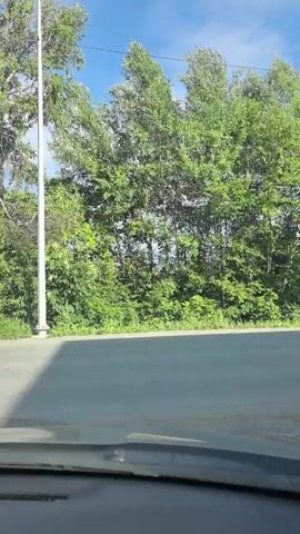 The video captures a scenic view from inside a vehicle as it travels along a paved road. The time of day appears to be morning or early afternoon, indicated by the bright sunlight casting shadows on the road. The weather is clear with a bright blue sky and a few wispy clouds. Lush green trees and foliage line the right side of the road, creating a dense natural barrier. A tall, slender pole, possibly a light post or utility pole, stands prominently on the left side of the frame. The road itself is asphalt, with a distinct shadow falling across it, suggesting the sun is positioned to the left and slightly behind the viewer. In the foreground, the dashboard of the vehicle is visible, indicating the perspective is from the driver's or passenger's seat. At 00:01, a light blue SUV is seen driving in the opposite direction on the road. The overall impression is one of a pleasant, leisurely drive through a green, possibly rural or suburban, area in Zima Juzhnaja, Russia.