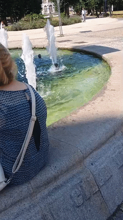 Sunny afternoon at Karlovy Vary's fountain square with horse-drawn carriage