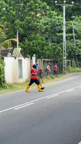 A group of road workers are trimming vegetation along the side of a paved road. The workers are wearing orange safety vests and yellow boots. Some are using string trimmers, while one worker in the foreground is carrying a long-handled tool that resembles a hoe or scythe. The road has white lines marking the lanes and shoulder. The area is surrounded by lush green trees and vegetation. A utility pole with electrical equipment is visible on the right side of the road. The sky appears overcast.