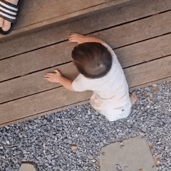 Morning family time with dog captured in rural South Korea