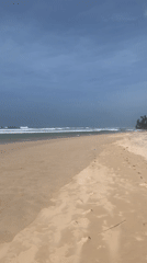 Early morning beach activities along Sri Lankan coast