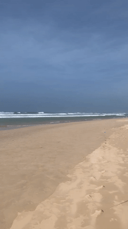Early morning beach activities along Sri Lankan coast
