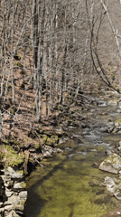 Spring morning documentation of Bulgarian rivers and forests