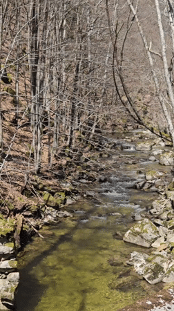 Spring morning documentation of Bulgarian rivers and forests
