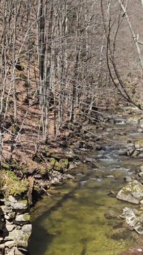 Spring morning documentation of Bulgarian rivers and forests