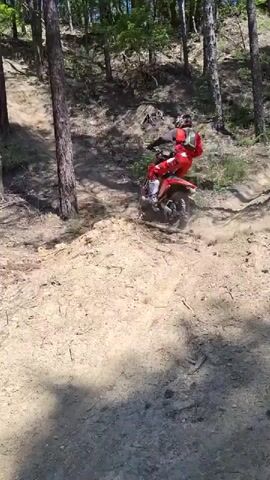 A person on a dirt bike rides down a steep, dirt hill through a forest. The person is wearing a red and black riding suit and a helmet. The dirt bike is red. There are many trees on the hill. The sun is shining through the trees, casting shadows. Dust is kicked up by the dirt bike's tires.