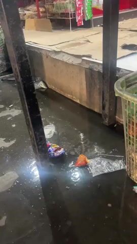 The video shows a close-up view of a black, stagnant pool of water with trash floating in it. The water is murky and appears to be stagnant. Several pieces of trash are visible, including a blue and yellow candy wrapper, a crumpled orange plastic bag, and a clear plastic bag. The trash is partially submerged in the water. In the background, there is a concrete wall and metal supports, possibly from a market stall or an outdoor structure. A green plastic basket filled with items is visible on the right side of the frame. The overall scene depicts a dirty and neglected environment.