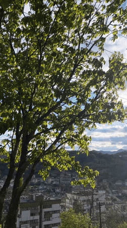 Witness captures scenic hillside views of Zlatograd, Bulgaria