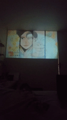 Indoor moments captured in Aubervilliers: projection screen, playful cat