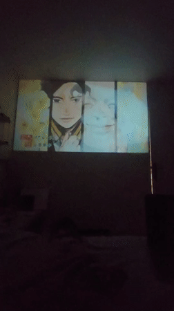 Indoor moments captured in Aubervilliers: projection screen, playful cat