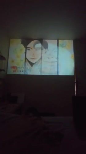 Indoor moments captured in Aubervilliers: projection screen, playful cat