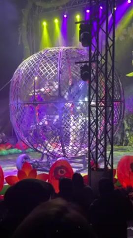 The video shows a large, spherical metal cage, lit with purple and yellow spotlights, on a stage that is decorated with giant flower-shaped objects. Inside the cage, multiple motorcycles are being driven in a circular fashion. The view is partially obscured by the heads and shoulders of audience members in the foreground. A lighting support structure is visible to the right of the cage.