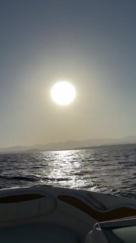 Dolphins spotted swimming near tourist boat off Sharm El Sheikh