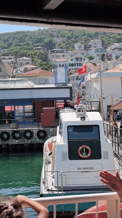 White boat docked at a Prince Islands pier, Turkish flag flying