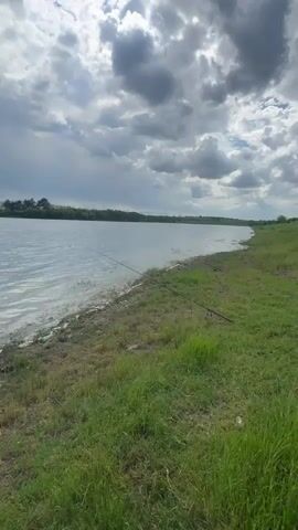 The video shows a calm lake under a cloudy sky. The shore is grassy, and three fishing rods are placed along the edge of the water. The water is slightly rippled, and the opposite shore is lined with trees. There are no people visible in the video.
