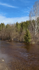 Flooding submerges trees, buildings in Nevon, Russia