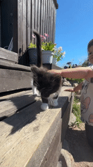 Kid and kitten on wooden steps in Kempelevo