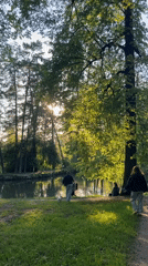 Sunny afternoon brings visitors to Saint Petersburg park