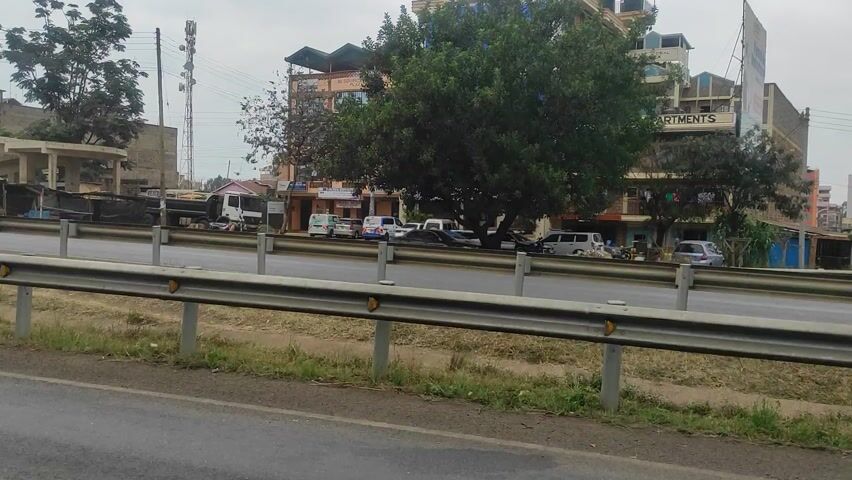 This image captures a daytime street scene in Kariguni, Kenya, from a slightly elevated perspective looking across a road. In the immediate foreground, a metal guardrail with yellow reflectors separates the viewer from the main road, which is paved and bordered by a grassy verge.

Beyond the road, a sidewalk features several pedestrians. One person in a blue shirt and dark trousers is walking towards the right, while another person in a yellow shirt is visible further down the street. A line of vehicles, including several white minibuses (likely matatus common in Kenya) and cars, are parked or moving along the roadside. A larger dark truck or bus can be seen further in the distance.

The street is lined with multi-story buildings. A prominent light brown/orange building with numerous windows and a distinctive dark green roof structure stands out, bearing signs that read "RESOURE PLACE" and "Parkland Technical College." To its left, a blue-fronted building is partially visible, with text like "PLAZA" and "MUMBIL" (partially obscured) on its facade.

Several trees are scattered along the street, including a large, leafy tree in the mid-ground and another further right. Infrastructure elements like power poles and overhead lines are visible. Further down the street, a concrete overpass or flyover structure can be seen, adjacent to a tall telecommunication mast. The sky appears overcast or cloudy, indicating diffused light conditions. The overall scene depicts a busy urban or suburban commercial area.