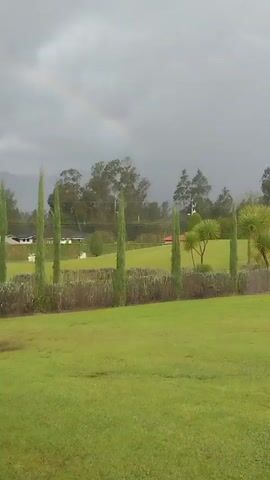 The video shows a lawn surrounded by trees and a hedge under a cloudy sky. A faint rainbow is visible in the distance. There are three tall, thin trees in the foreground. Two houses are partially visible in the distance beyond the lawn and trees. The video appears to be taken from inside a building with a window that's causing a fluttering noise.